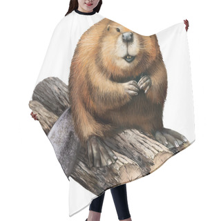 Personality  Beaver Hair Cutting Cape