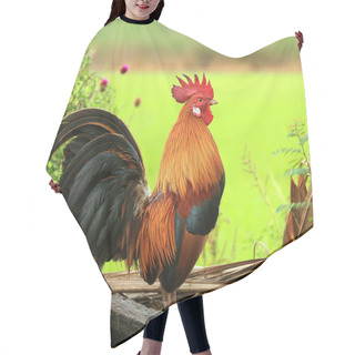 Personality  Beautiful Rooster Hair Cutting Cape