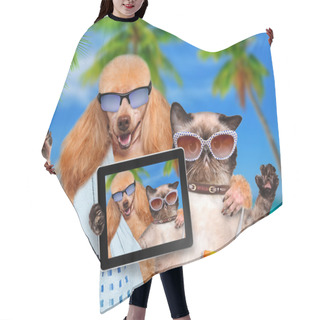 Personality  Dog With A Cat On Vacation. Hair Cutting Cape