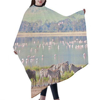 Personality  Zebras And A Wildebeest Walking Beside The Lake In The Ngorongoro Crater, Tanzania, Flamingos In The Background Hair Cutting Cape