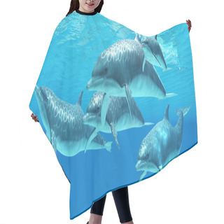 Personality  Bottlenose Dolphin Hair Cutting Cape