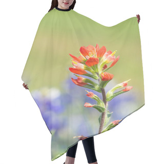Personality  Indian Paintbrush Wildflower Hair Cutting Cape