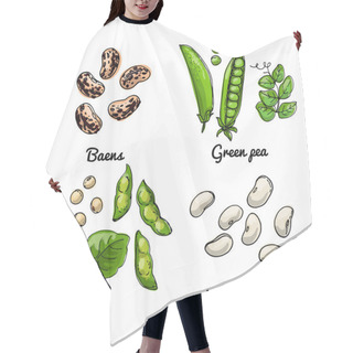 Personality  Vector Food Icons Of Vegetables. Colored Sketch Of Food Products. Baens, Green Pea, Soy Hair Cutting Cape