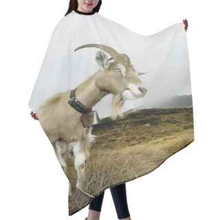 Personality  Goat In Mountain Hair Cutting Cape