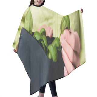 Personality  Cropped View Of Woman Holding Wallet With Fresh Spinach, Selective Focus, Banner Hair Cutting Cape