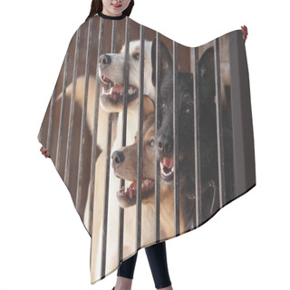 Personality  Homeless Dogs In Cage Hair Cutting Cape