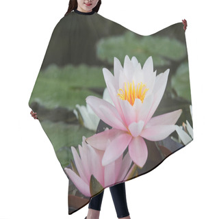 Personality  Water Lilies Blossom On Lake Hair Cutting Cape