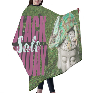 Personality  Beautiful Bright Green Chameleon Sitting On Buddha Head With Black Friday Sale Hair Cutting Cape