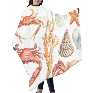 Personality  Set Of Shells, Crab, Starfish On An Isolated White Background, Watercolor Illustration Hair Cutting Cape