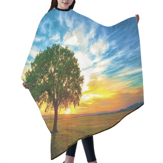 Personality  Oak Tree Hair Cutting Cape