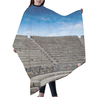 Personality  Pompeii Colosseum Hair Cutting Cape