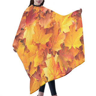 Personality  Background Group Autumn Orange Leaves. Hair Cutting Cape