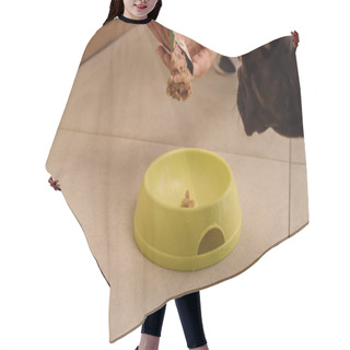 Personality  Cropped View Of Woman Holding Tasty Pet Food Near French Bulldog And Bowl Hair Cutting Cape