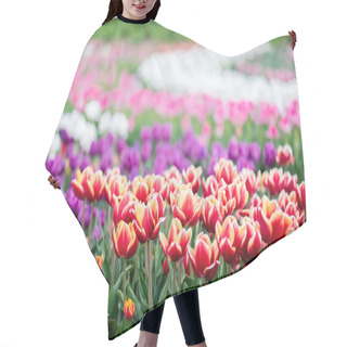 Personality  Beautiful Blooming Colorful Tulips Field Hair Cutting Cape