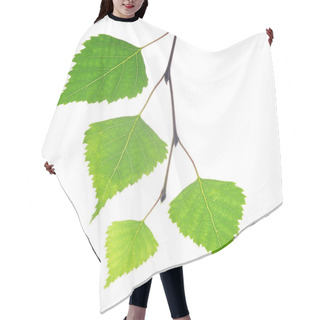 Personality  Spring Birch Branch With Green Leaves. Hair Cutting Cape