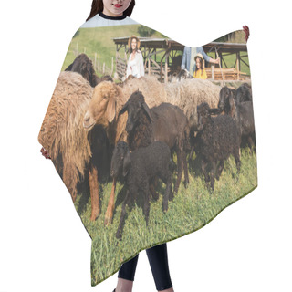 Personality  Sheep Flock Grazing Near Blurred Family On Cattle Farm Hair Cutting Cape