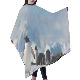 Personality  Penguins In Antarctica Hair Cutting Cape