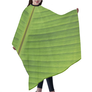 Personality  Green Banana Leaf Close Up Hair Cutting Cape