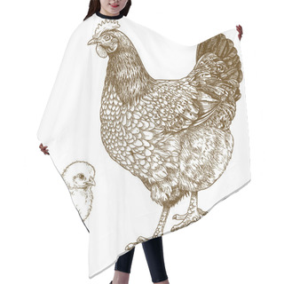 Personality  Illustration Of Engraving Chicken And Chick Hair Cutting Cape