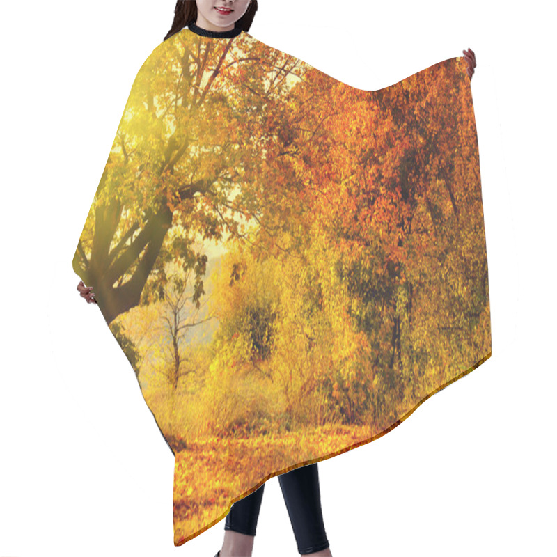 Personality  Autumn Forest With Sun Beam Hair Cutting Cape