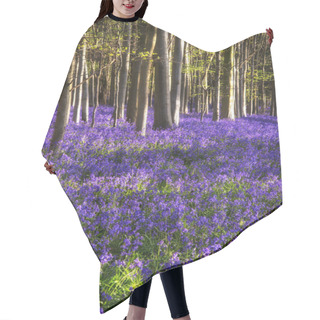 Personality  Stunning Bluebell Flowers In Spring Forest Landscape Hair Cutting Cape
