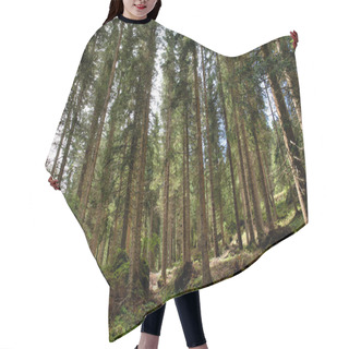 Personality  Forest And Trees Hair Cutting Cape