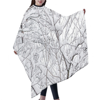Personality  White Snow On The Tree Branch Hair Cutting Cape