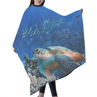 Personality  Big Sea Turle Underwater Hair Cutting Cape