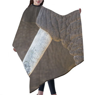 Personality  Elephants Tusk And Part Of Trunk Hair Cutting Cape