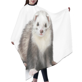 Personality  Ferret On A White Background Hair Cutting Cape