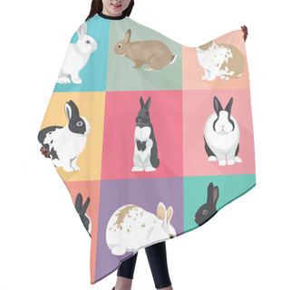 Personality  Easter Bunny Vector Rabbits Set Colorful Retro Style Hair Cutting Cape