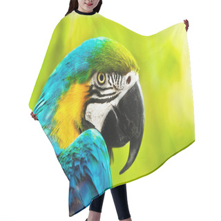 Personality  Exotic Colorful African Macaw Parrot Hair Cutting Cape