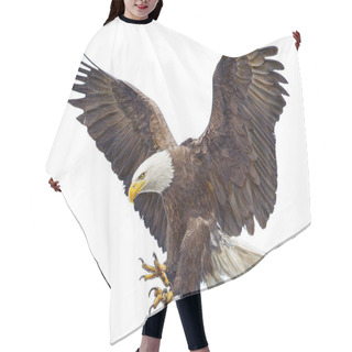 Personality  Bald Eagle Flying Landing Swoop Hand Draw On White. Hair Cutting Cape