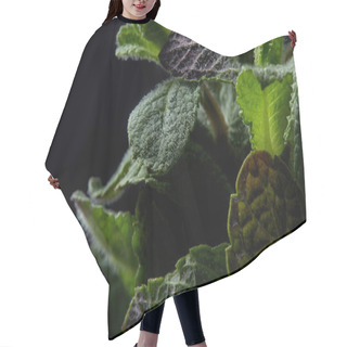 Personality  Closeup View Of Mint Leaves Isolated On Black Background  Hair Cutting Cape