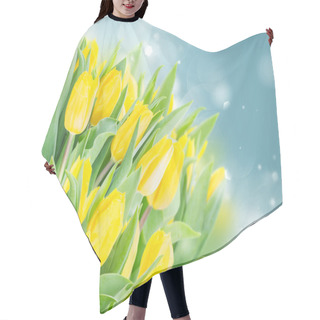 Personality  Spring Narcissus Garden Hair Cutting Cape