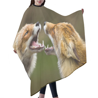 Personality  Red Foxes Fighting Hair Cutting Cape