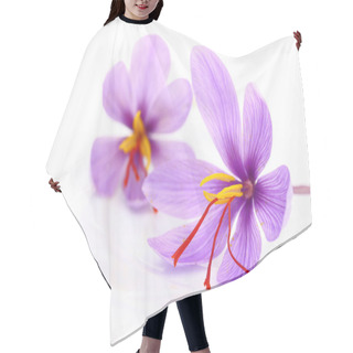 Personality  Close Up Of Saffron Flowers  Hair Cutting Cape