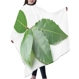 Personality  Fresh Bay Leaves Hair Cutting Cape