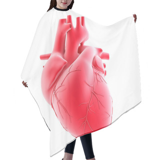 Personality  Human Heart. 3d Illustration. Isolated, Contains Clipping Path Hair Cutting Cape