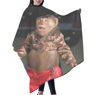 Personality  Circus Chimpanzee Monkey In A Suit And A Hat. Hair Cutting Cape