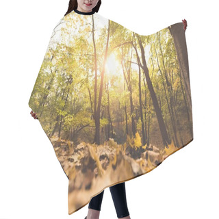Personality  Fallen Leaves In Autumn Forest Hair Cutting Cape