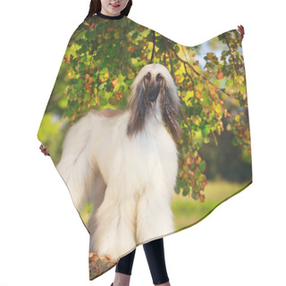 Personality  Animal Dog Hair Cutting Cape