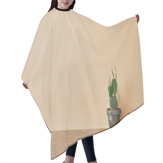Personality  Cactus In Flowerpot On Dusty Table On Beige Background Hair Cutting Cape