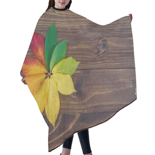 Personality  Autumn Leaves Transition From Green To Red On Wooden Background. Concept Change Of Season. Hair Cutting Cape