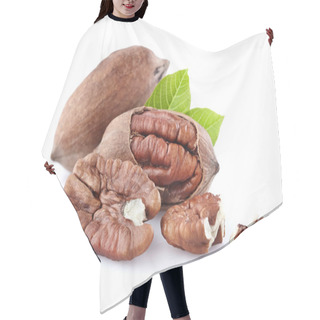 Personality  Pecan Nuts With Leaf Hair Cutting Cape