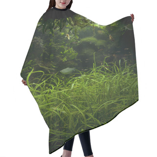 Personality  Underwater Life Hair Cutting Cape