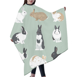 Personality  Easter Bunny Vector Rabbits Set Retro Style Hair Cutting Cape