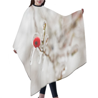 Personality  Frozen Rosehip Hair Cutting Cape
