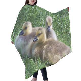 Personality  Three Canadian Geese Babies Hair Cutting Cape