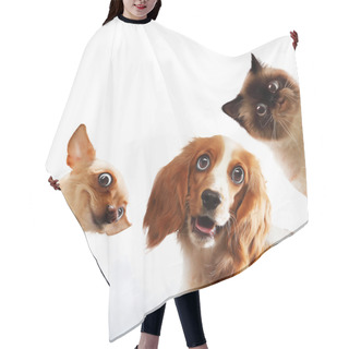 Personality  Three Home Pets Hair Cutting Cape